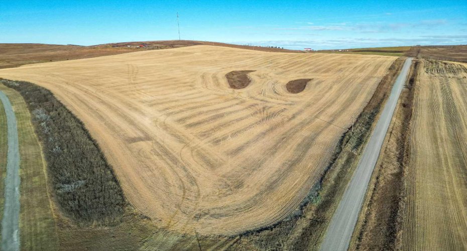 54.28 Acres on 96th Street, Rural Foothills County, Alberta T1S 0V1, ,Land,For Sale,96th,A2268112