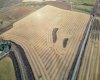 54.28 Acres on 96th Street, Rural Foothills County, Alberta T1S 0V1, ,Land,For Sale,96th,A2268112