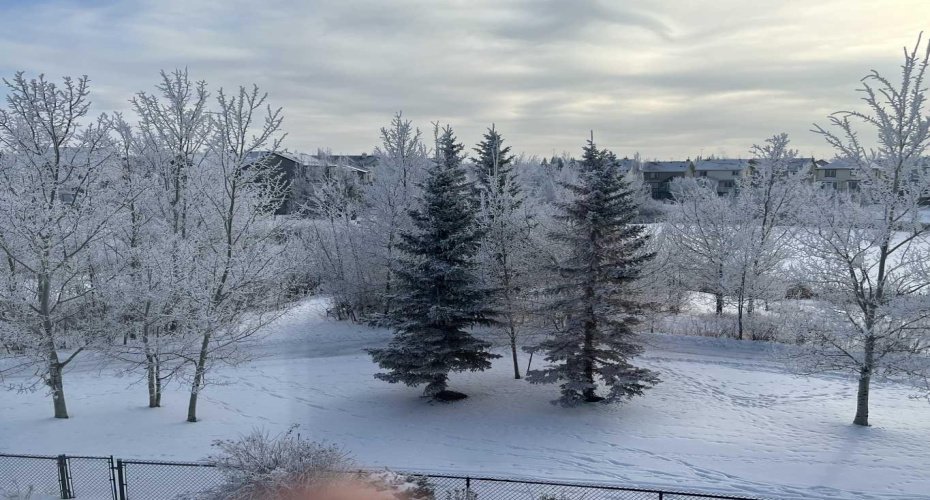 15 Copperfield Close, Calgary, Alberta T2Z 4L2, 3 Bedrooms Bedrooms, ,3 BathroomsBathrooms,Residential,For Sale,Copperfield,A2278371