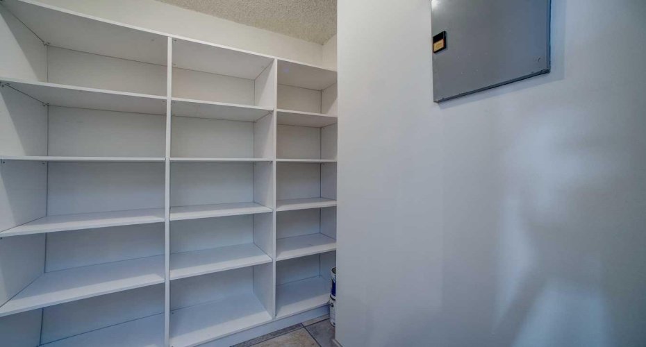 Separate pantry with shelving