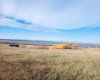 420069 Range Road 284, Rural Ponoka County, Alberta T4J 1R3, ,Land,For Sale,Range Road 284,A2279323