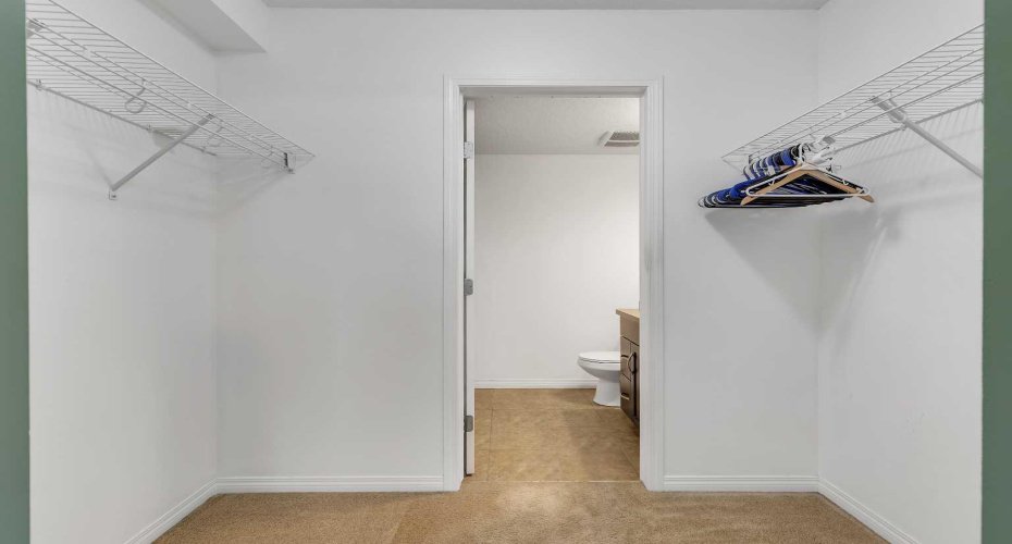 Primary Closet & Bathroom