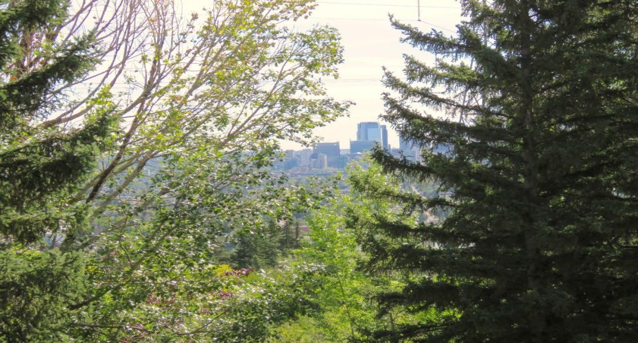 328 Cedar Crescent, Calgary, Alberta T3C 2Y8, 1 Bedroom Bedrooms, 0 ,1 BathroomBathrooms,Residential,For Sale,Cedar,0,A2280165