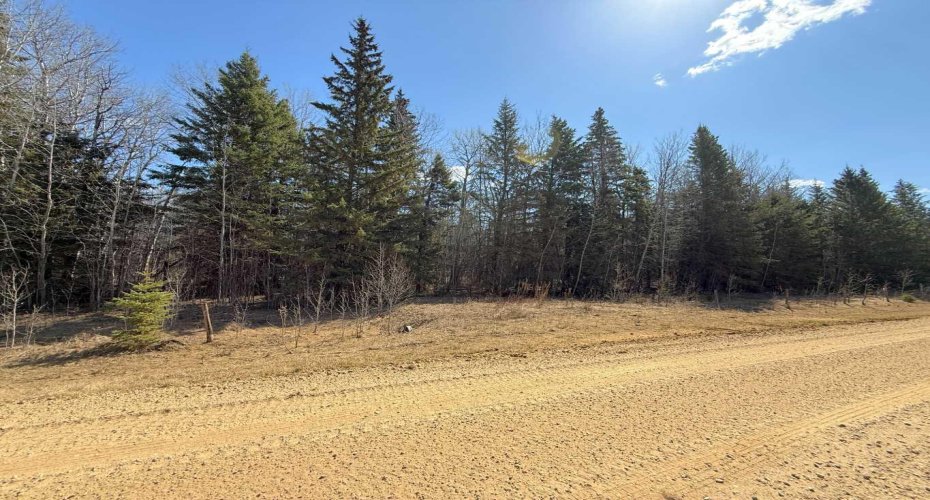 Lot 1 Part of NW-33-65-22-W4, Rural Athabasca County, Alberta T9S 2A5, ,Land,For Sale,Part of NW-33-65-22-W4,A2280603