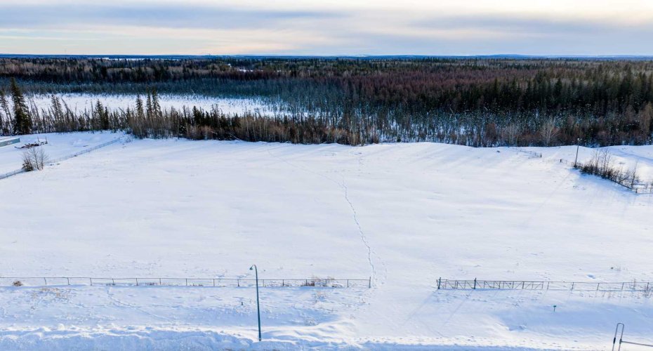 12-60051 HWY 668, Rural Grande Prairie No. 1, County of, Alberta T8W 5A8, ,Land,For Sale,HWY 668,A2280012