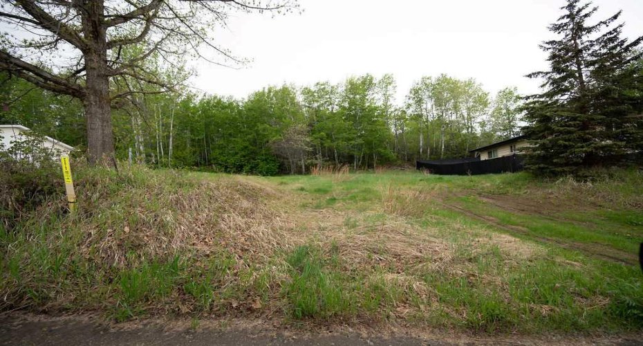 4912 59 Street, Athabasca, Alberta T9S1L6, ,Land,For Sale,59 Street,A2280863