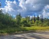6 50A Street, Wandering River, Alberta T0A 3M0, ,Land,For Sale,50A,A2162557