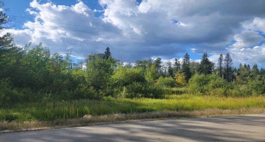 6 50A Street, Wandering River, Alberta T0A 3M0, ,Land,For Sale,50A,A2162557