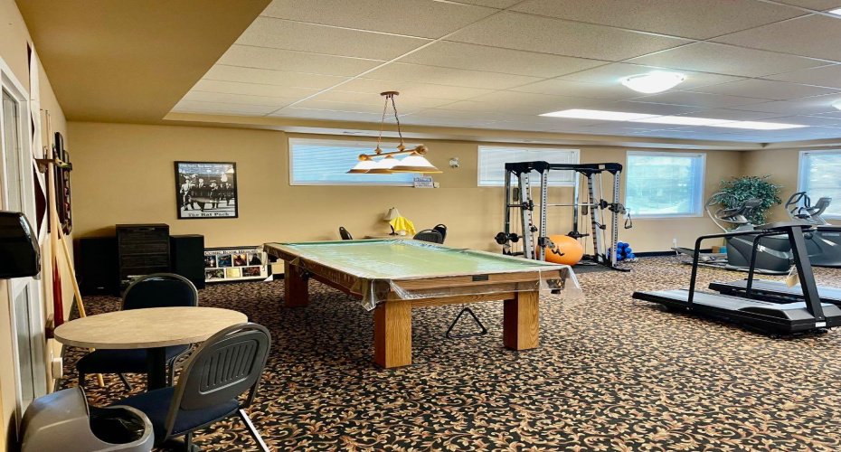 Pool table/gym
