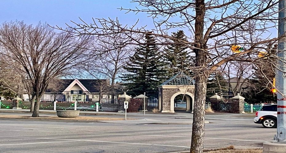 Arbour Lake