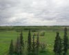 121048 TWP RD 555, Brosseau, Alberta T0B 0P0, ,Agri-business,For Sale,TWP RD 555,A2279056