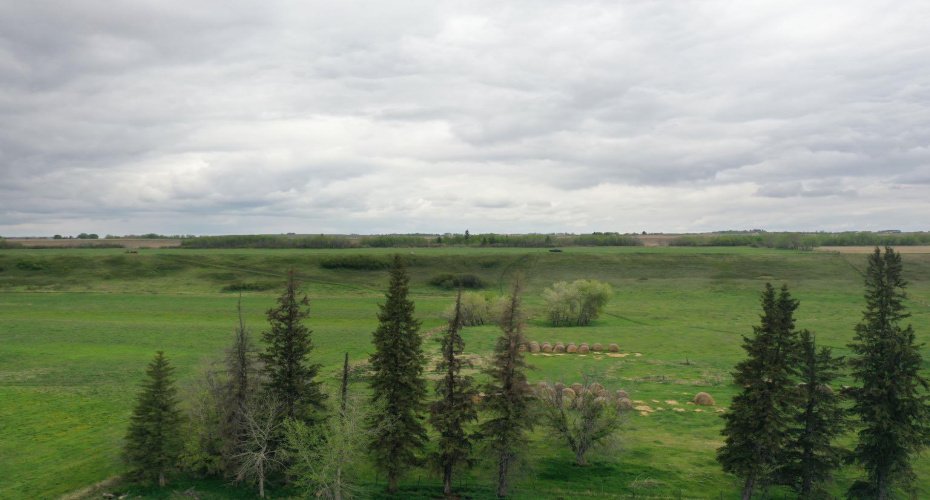 121048 TWP RD 555, Brosseau, Alberta T0B 0P0, ,Agri-business,For Sale,TWP RD 555,A2279056