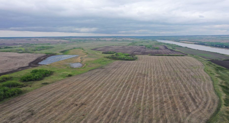 121048 TWP RD 555, Brosseau, Alberta T0B 0P0, ,Agri-business,For Sale,TWP RD 555,A2279056