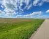 4 431029 Range Road 261, Rural Ponoka County, Alberta T4J 1R4, ,Land,For Sale,Range Road 261,A2280735