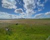 4 431029 Range Road 261, Rural Ponoka County, Alberta T4J 1R4, ,Land,For Sale,Range Road 261,A2280735