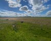 4 431029 Range Road 261, Rural Ponoka County, Alberta T4J 1R4, ,Land,For Sale,Range Road 261,A2280735