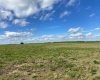 7 431029 Range Road 261, Rural Ponoka County, Alberta T4J 1R4, ,Land,For Sale,Range Road 261,A2280738