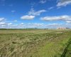 7 431029 Range Road 261, Rural Ponoka County, Alberta T4J 1R4, ,Land,For Sale,Range Road 261,A2280738
