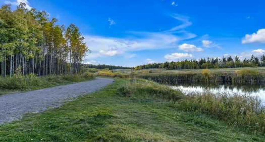 Nearby Paths