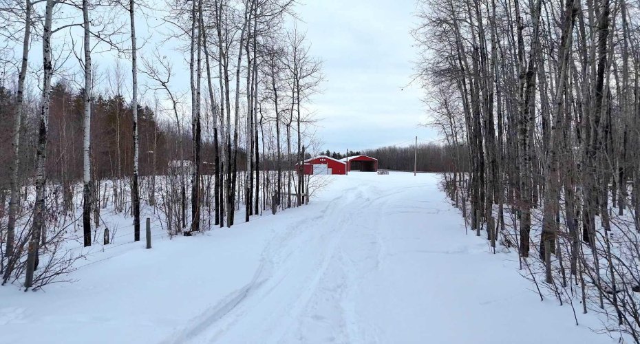 665033 Range Road 181, Rural Athabasca County, Alberta T0A 0E0, 4 Bedrooms Bedrooms, ,5 BathroomsBathrooms,Agri-business,For Sale,Range Road 181,A2280957
