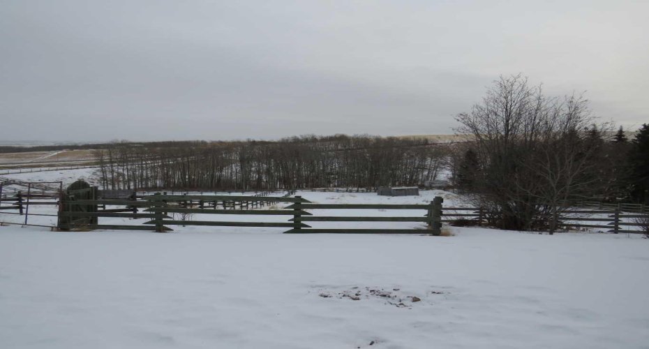 2025 TWP RD 400, Rural Lacombe County, Alberta T0C 0J0, ,Agri-business,For Sale,TWP RD 400,A2281204
