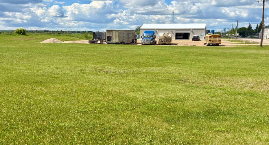 5101 49 Avenue, Dewberry, Alberta T0B 1G0, ,Commercial,For Sale,Goodon Pole building,49,A2281316
