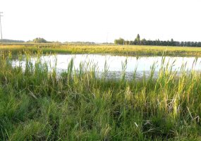 394075 Range Road 5-5, Rural Clearwater County, Alberta T0M 1H0, ,Land,For Sale,Range Road 5-5,A2281501