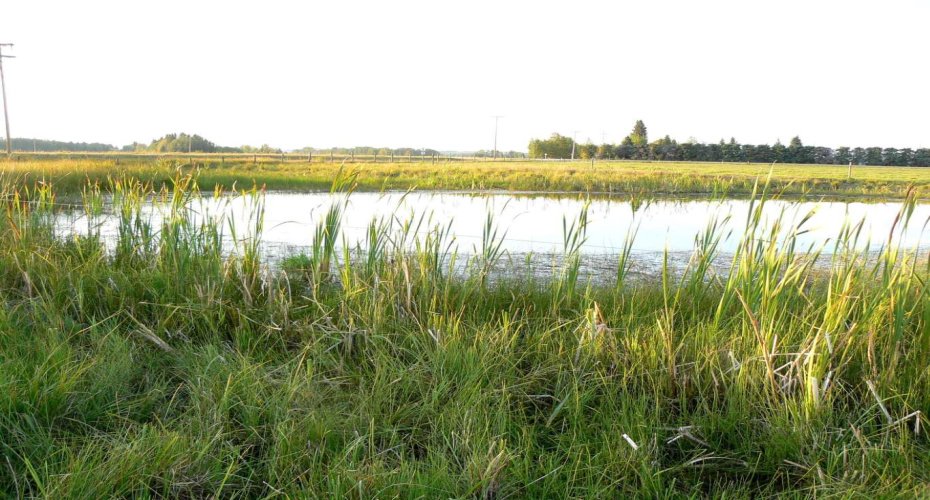 394075 Range Road 5-5, Rural Clearwater County, Alberta T0M 1H0, ,Land,For Sale,Range Road 5-5,A2281501