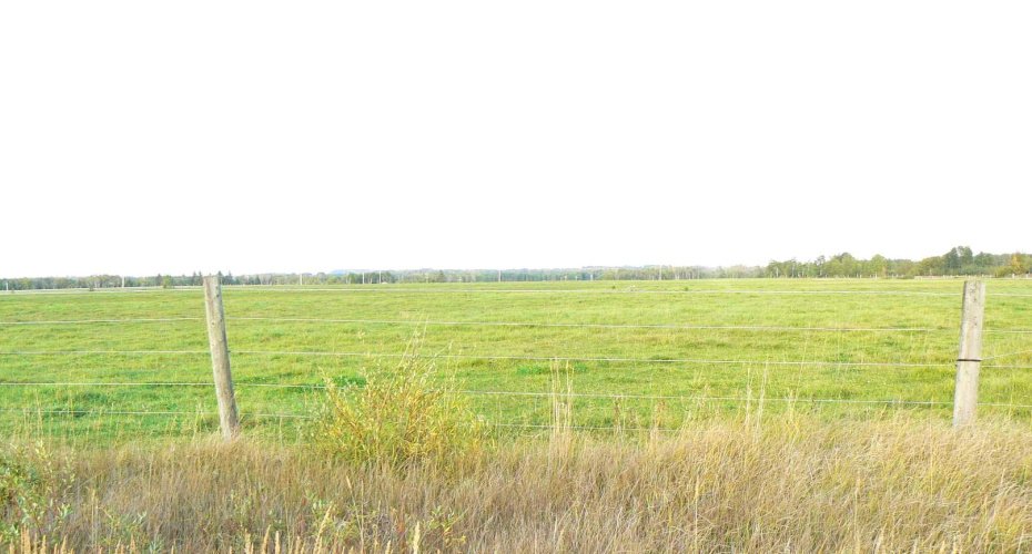 394075 Range Road 5-5, Rural Clearwater County, Alberta T0M 1H0, ,Land,For Sale,Range Road 5-5,A2281501