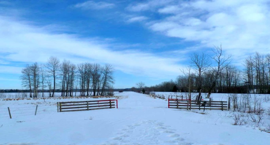 394075 Range Road 5-5, Rural Clearwater County, Alberta T0M 1H0, ,Land,For Sale,Range Road 5-5,A2281501