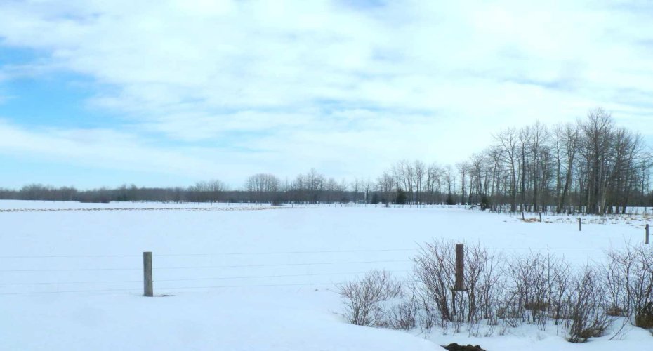 394075 Range Road 5-5, Rural Clearwater County, Alberta T0M 1H0, ,Land,For Sale,Range Road 5-5,A2281501