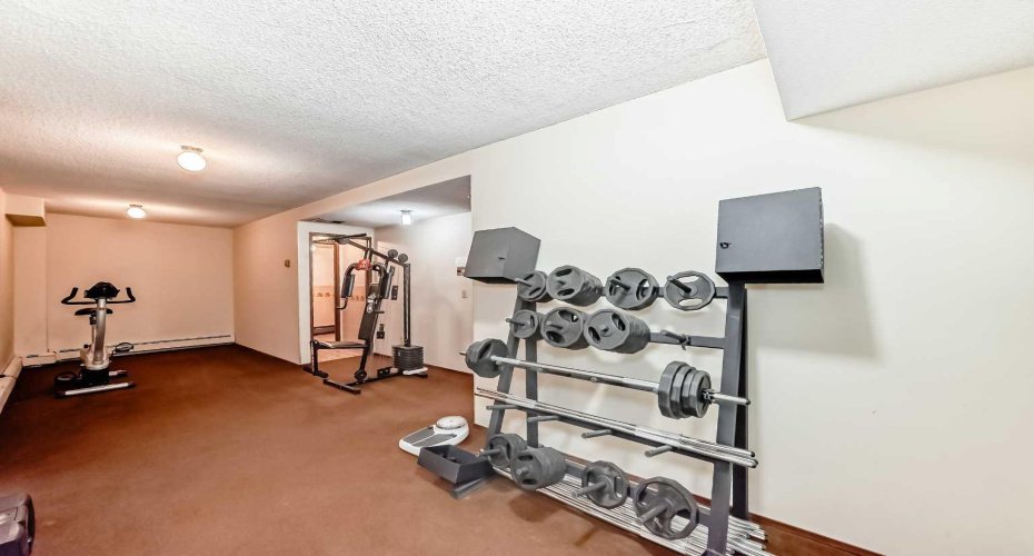 330 15 Avenue, Calgary, Alberta T2R 0P8, 2 Bedrooms Bedrooms, ,2 BathroomsBathrooms,Residential,For Sale,15,A2281690