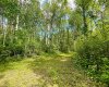 10 15023 Highway 55, Lac La Biche, Alberta T0A2C0, ,Land,For Sale,Highway 55,A2281836
