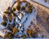 187 Slopeview Drive, Calgary, Alberta T3H 4G6, 7 Bedrooms Bedrooms, ,5 BathroomsBathrooms,Residential,For Sale,Slopeview,A2281811