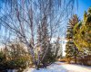 187 Slopeview Drive, Calgary, Alberta T3H 4G6, 7 Bedrooms Bedrooms, ,5 BathroomsBathrooms,Residential,For Sale,Slopeview,A2281811