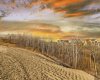 66 Timberline Point, Calgary, Alberta T3H6C8, ,Land,For Sale,Timberline,A2282046