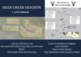 48033 295 Avenue, De Winton, Alberta T0L 0X0, ,Land,For Sale,295,A2282089