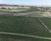 48033 295 Avenue, De Winton, Alberta T0L 0X0, ,Land,For Sale,295,A2282089