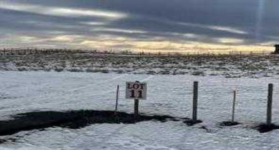 48103 295 Avenue, De Winton, Alberta T0L 0X0, ,Land,For Sale,295,A2282106