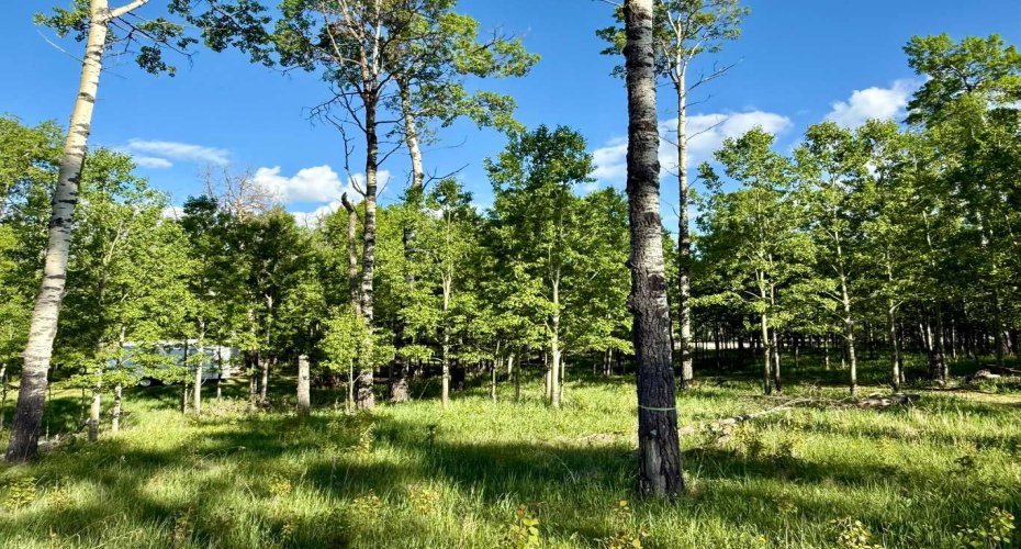 5228 Highway 579, Rural Mountain View County, Alberta T0M 2E0, ,Land,For Sale,Highway 579,A2282234