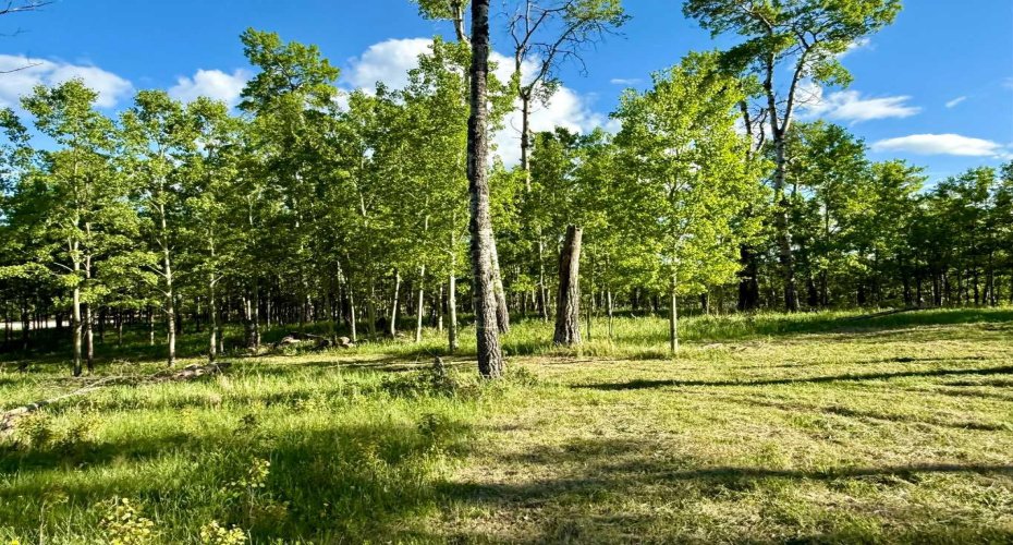 5228 Highway 579, Rural Mountain View County, Alberta T0M 2E0, ,Land,For Sale,Highway 579,A2282234