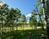 View to the NW from the build site