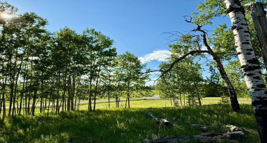 View to the NW from the build site
