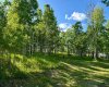 5228 Highway 579, Rural Mountain View County, Alberta T0M 2E0, ,Land,For Sale,Highway 579,A2282234