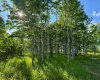 5228 Highway 579, Rural Mountain View County, Alberta T0M 2E0, ,Land,For Sale,Highway 579,A2282234