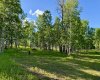 5228 Highway 579, Rural Mountain View County, Alberta T0M 2E0, ,Land,For Sale,Highway 579,A2282234