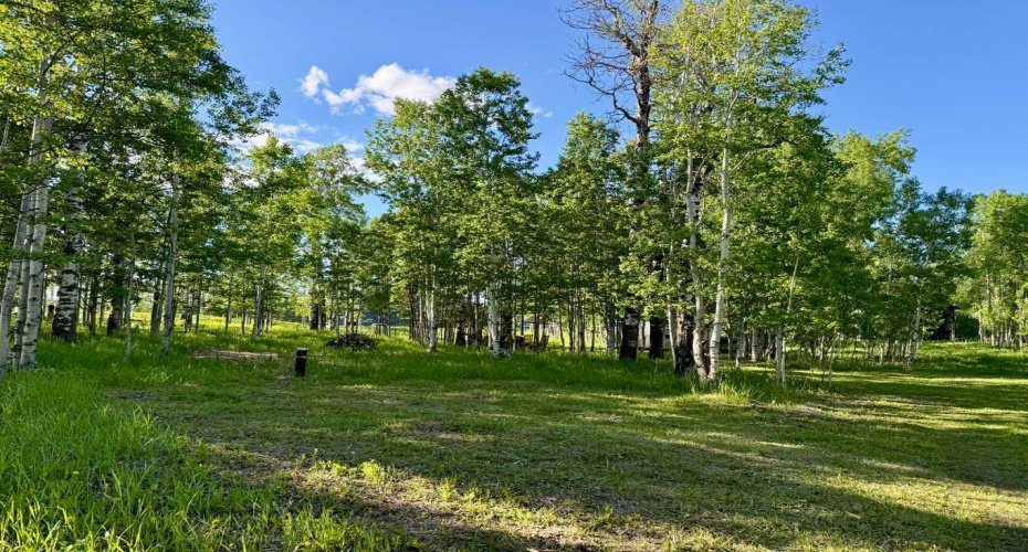5228 Highway 579, Rural Mountain View County, Alberta T0M 2E0, ,Land,For Sale,Highway 579,A2282234