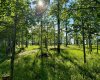 5228 Highway 579, Rural Mountain View County, Alberta T0M 2E0, ,Land,For Sale,Highway 579,A2282234