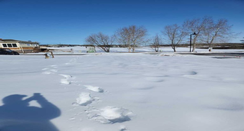 25054 South Pine Lake Road, Rural Red Deer County, Alberta T0M 1S0, ,Land,For Sale,25054 South Pine Lake Road,A2282278