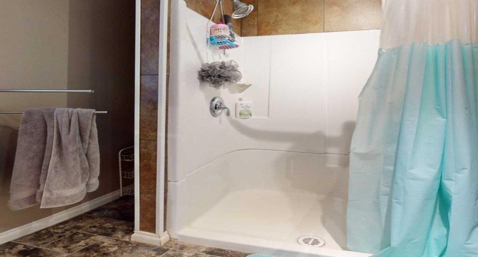 Walk-in shower - Main floor bathroom